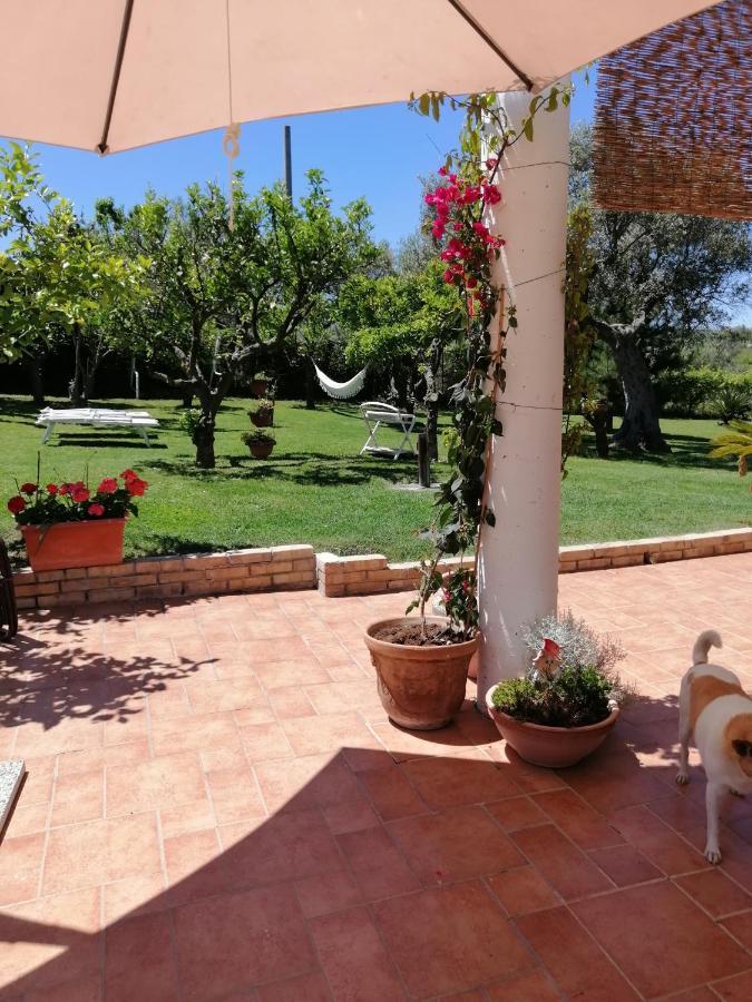 オルトーナLa Collina Del Riccioアパートメント エクステリア 写真