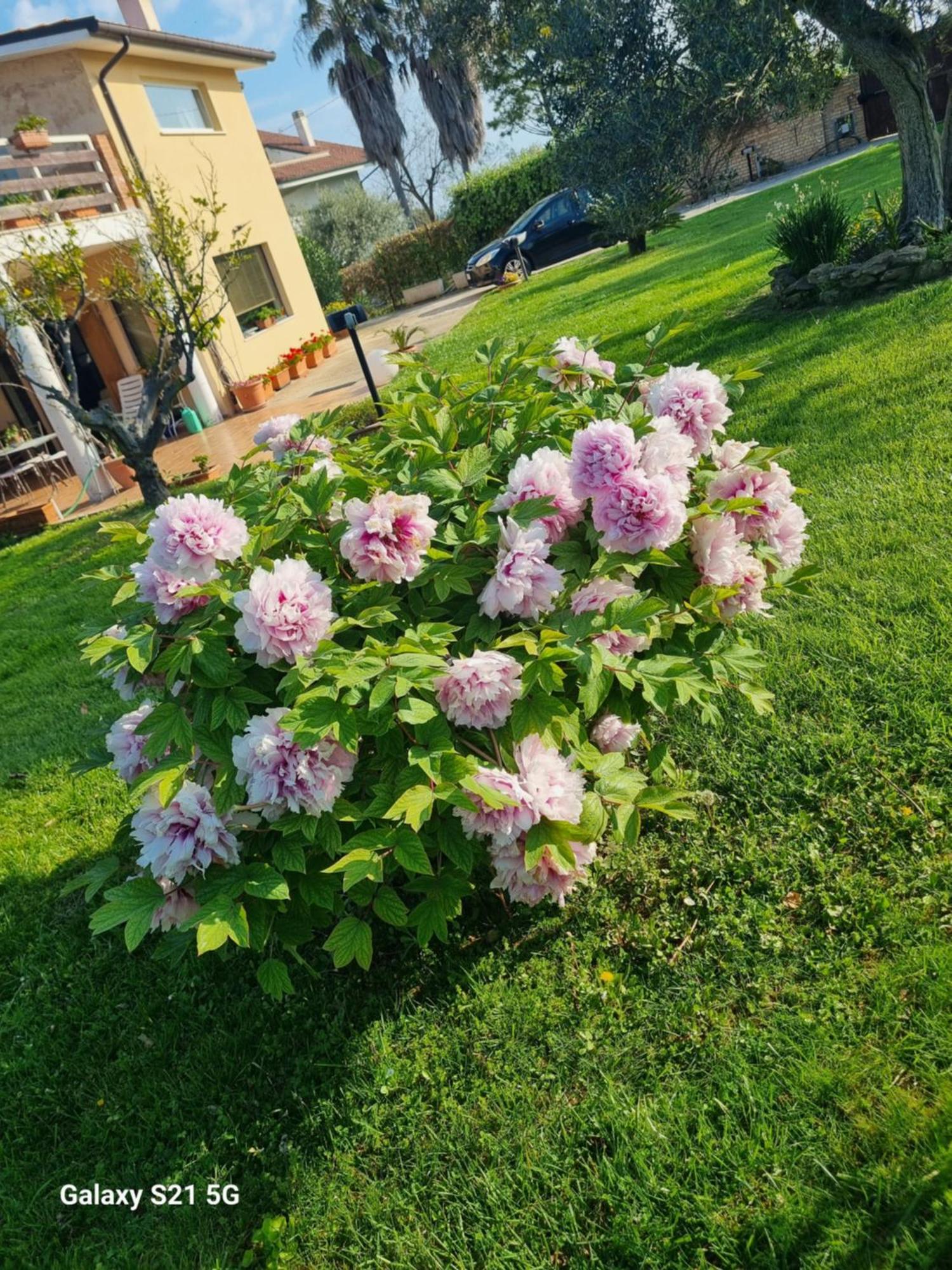 オルトーナLa Collina Del Riccioアパートメント エクステリア 写真