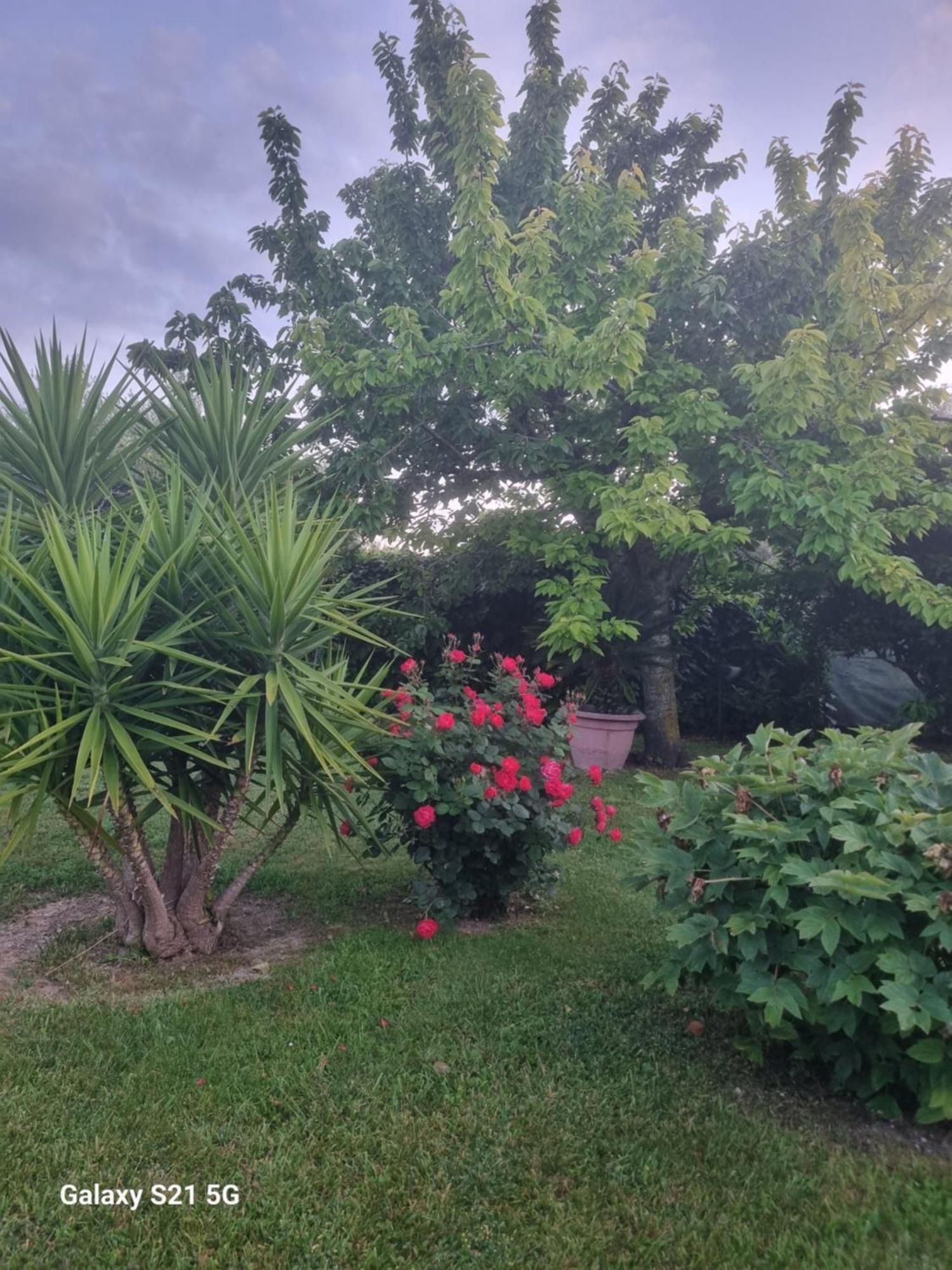 オルトーナLa Collina Del Riccioアパートメント エクステリア 写真