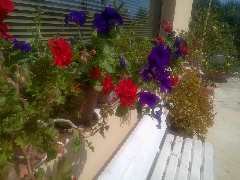 オルトーナLa Collina Del Riccioアパートメント エクステリア 写真