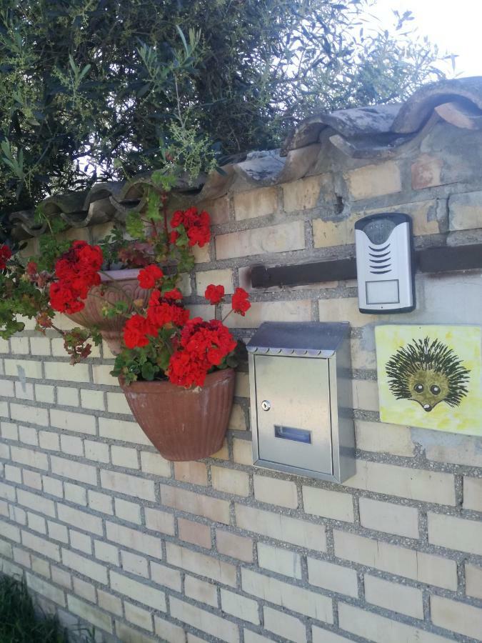 オルトーナLa Collina Del Riccioアパートメント エクステリア 写真